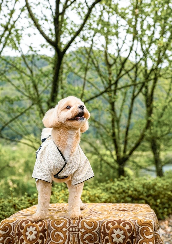 サクラテーブル