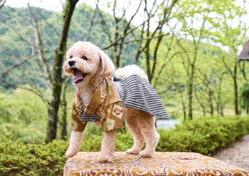❤︎saleꔛ‬ꕤ ガーデン雑貨♡折り畳みテーブル♡花台♡犬♡レモン♡インテリア ❤︎saleꔛꕤ ガーデン雑貨♡折り畳みテーブル♡花台♡犬♡レモン