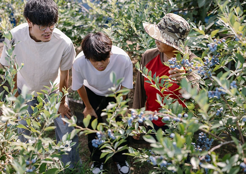 自社菜園で育てた野菜を収穫するスタッフ