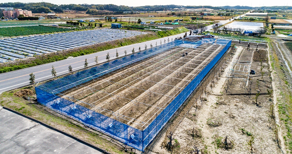 SAKURA TABLEの料理につながる自社菜園